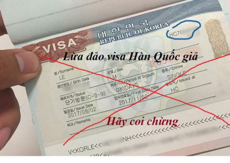 Những loại visa Hàn Quốc phổ biến năm 2025