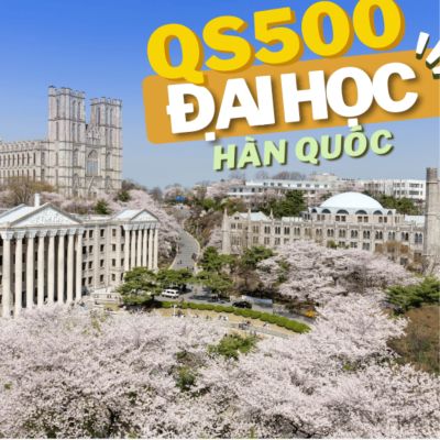 Đào tạo